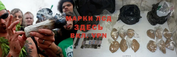 спиды Володарск
