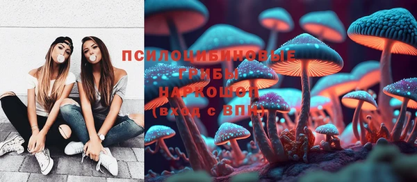 mdpv Волоколамск