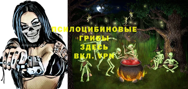 mdpv Волоколамск